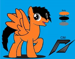 Size: 633x497 | Tagged: safe, derpibooru import, oc, oc:power drift, unofficial characters only, pegasus, pony, blue background, male, need for speed, reference sheet, simple background, solo, stallion