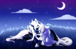 Size: 4200x2711 | Tagged: safe, artist:scarlet-spectrum, derpibooru import, princess luna, oc, oc:moonbow, alicorn, pony, unicorn, absurd resolution, alternate design, canon x oc, cloud, crescent moon, cuddling, curved horn, eyes closed, grass, moon, night, night sky, prone, smiling, stars