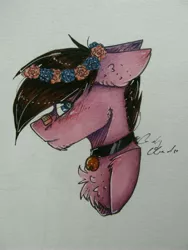 Size: 3000x4000 | Tagged: safe, artist:pinkcloudhugger, derpibooru import, oc, oc:kluska, unofficial characters only, pony, bell, bell collar, bust, collar, female, mare, portrait, solo, traditional art