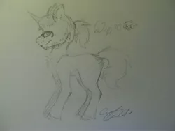 Size: 4000x3000 | Tagged: safe, artist:pinkcloudhugger, derpibooru import, oc, oc:mckeypl, unofficial characters only, pony, traditional art, wip