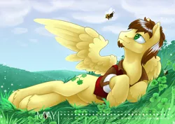 Size: 1200x848 | Tagged: safe, artist:arctic-fox, derpibooru import, oc, unofficial characters only, bee, insect, pegasus, pony, bumblebee, calendar, clothes, cloud, clover, four leaf clover, grass field, jacket, looking up, male, may, smiling, solo, stallion, unshorn fetlocks