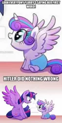 Size: 1494x2938 | Tagged: safe, derpibooru import, princess flurry heart, twilight sparkle, twilight sparkle (alicorn), alicorn, pony, exploitable meme, first words, flurry heart ruins everything, hitler did nothing wrong, meme