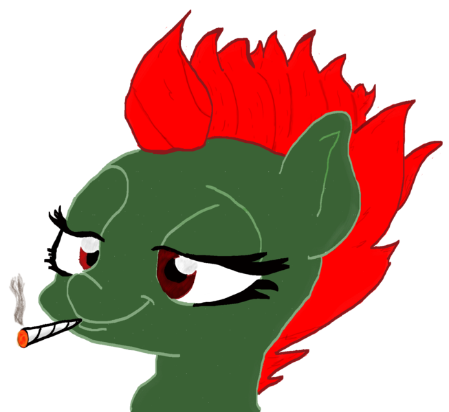 Size: 1613x1483 | Tagged: safe, derpibooru import, oc, oc:drunky junky, unofficial characters only, pony, bust, cigarette, digital art, mohawk, punk, simple background, smoking, solo, transparent background