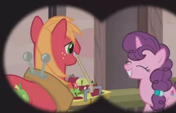 Size: 732x471 | Tagged: safe, derpibooru import, screencap, big macintosh, sugar belle, earth pony, pony, hard to say anything, apple, basket, binoculars, bushel basket, female, food, male, mare, mouth hold, shipping, shipping goggles, stallion, straight, sugarmac