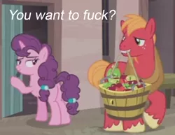 Size: 768x592 | Tagged: apple, basket, bedroom eyes, big macintosh, bushel basket, derpibooru import, edit, edited screencap, food, hard to say anything, mouth hold, screencap, spoiler, sugar belle, suggestive, text, vulgar