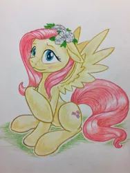 Size: 1024x1365 | Tagged: safe, artist:grokostimpy, derpibooru import, fluttershy, pegasus, pony, blushing, cute, female, floppy ears, flower, flower in hair, looking at you, mare, shyabetes, simple background, sitting, solo, traditional art, white background