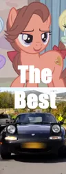 Size: 484x1266 | Tagged: safe, derpibooru import, swoon song, pony, hard to say anything, miata, obligatory pony, regular car reviews