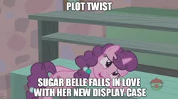 Size: 900x500 | Tagged: safe, derpibooru import, edit, edited screencap, screencap, sugar belle, pony, hard to say anything, cargo ship, display case, image macro, meme, plot twist, shipping, solo