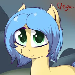 Size: 1200x1200 | Tagged: safe, artist:vulsegardt, derpibooru import, oc, unofficial characters only, earth pony, pony, female, mare, solo