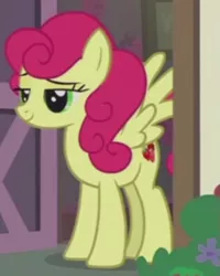 Size: 453x566 | Tagged: safe, derpibooru import, screencap, strawberry sunrise, pegasus, pony, honest apple, cropped, lidded eyes, smiling, smug, solo