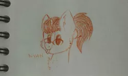 Size: 585x346 | Tagged: safe, artist:pinkcloudhugger, derpibooru import, oc, oc:mckeypl, unofficial characters only, pony, glasses, sketch, solo, tongue out, traditional art