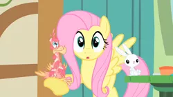 Size: 1280x720 | Tagged: safe, derpibooru import, screencap, angel bunny, fluttershy, philomena, bird, pegasus, phoenix, pony, rabbit, a bird in the hoof, cute, feather, female, male, mare, tape, trio