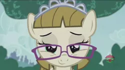 Size: 1366x768 | Tagged: safe, derpibooru import, screencap, zippoorwhill, pony, forever filly, glasses, lidded eyes, solo