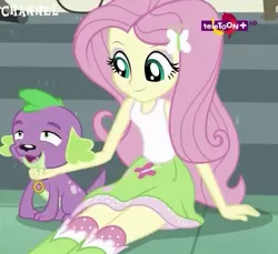 Size: 525x480 | Tagged: safe, derpibooru import, screencap, fluttershy, spike, spike the regular dog, dog, dance magic, equestria girls, spoiler:eqg specials, chin scratch, clothes, cropped, cute, lidded eyes, paws, skirt, smiling, socks, spikelove, stairs, teletoon