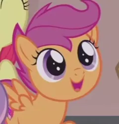 Size: 384x400 | Tagged: safe, derpibooru import, screencap, apple bloom, scootaloo, sweetie belle, earth pony, pegasus, pony, hard to say anything, cropped, cute, cutealoo, cutie mark crusaders, female, filly, open mouth, smiling, solo focus, spread wings, wings