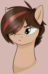 Size: 1600x2470 | Tagged: safe, artist:stormer, derpibooru import, oc, ponified, earth pony, pony, bust, dyed hair, female, mare, self-potrait, simple background, solo