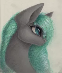 Size: 2377x2808 | Tagged: safe, artist:kimsteinandother, derpibooru import, oc, oc:rose, unofficial characters only, earth pony, pony, bust, female, high res, mare, portrait, solo, traditional art