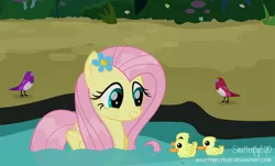 Size: 3244x1962 | Tagged: safe, artist:shutterflyeqd, derpibooru import, fluttershy, bird, duck pony, pegasus, pony, fluttershy leans in, cute, duckling, female, flower, flower in hair, mare, shyabetes, smiling, tree, water