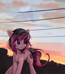 Size: 702x800 | Tagged: safe, artist:mirroredsea, derpibooru import, oc, oc:share dast, unofficial characters only, earth pony, pony, cloud, evening, female, gift art, looking back, mare, silhouette, sky, solo, sunset, wires