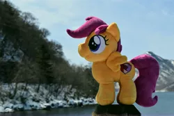 Size: 6000x4000 | Tagged: safe, artist:hystericalcub, derpibooru import, scootaloo, pony, absurd resolution, irl, photo, plushie, solo