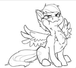 Size: 739x661 | Tagged: safe, artist:geomancing, deleted from derpibooru, derpibooru import, rainbow dash, pegasus, pony, behaving like a bird, black and white, chest fluff, grayscale, monochrome, puffy cheeks, simple background, sketch, solo, white background