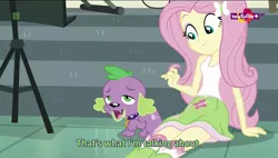 Size: 1600x908 | Tagged: safe, derpibooru import, screencap, fluttershy, spike, spike the regular dog, dog, equestria daily, dance magic, equestria girls, spoiler:eqg specials, clothes, lidded eyes, out of context, out of context quote, skirt, socks, stairs, subtitles, teletoon, wat