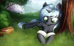 Size: 1920x1200 | Tagged: safe, artist:aurelleah, derpibooru import, oc, oc:quantum flash, unofficial characters only, alicorn, pony, alicorn oc, bag, book, canterlot, commission, cute, female, forest, grass, happy, looking down, mare, mountain, ocbetes, reading, smiling, solo, tree