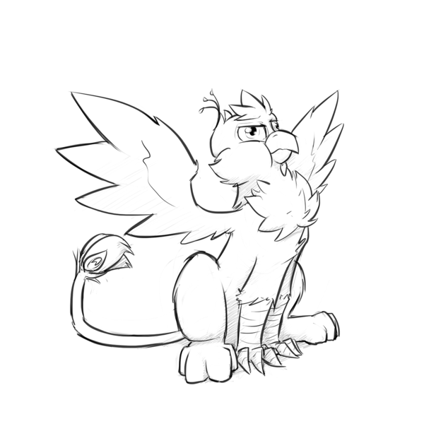 Size: 1280x1280 | Tagged: safe, artist:captainhoers, derpibooru import, oc, oc:gyro feather, oc:gyro tech, unofficial characters only, gryphon, behaving like a bird, birds doing bird things, cheek fluff, chest fluff, derp, grayscale, griffonized, leg fluff, monochrome, puffy cheeks, simple background, sketch, solo, species swap, spread wings, :t, white background, wing fluff, wings