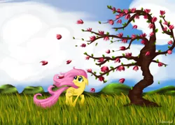 Size: 4630x3307 | Tagged: safe, artist:momentical, derpibooru import, fluttershy, pony, absurd resolution, flower, folded wings, grass field, looking at something, looking up, solo, tree, walking, windswept hair, windswept mane