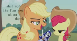 Size: 896x475 | Tagged: apple bloom, applejack, crunch, derpibooru import, doll, drunk, drunk aj, edit, edited screencap, honest apple, rarity, safe, screencap, stan, text, toy