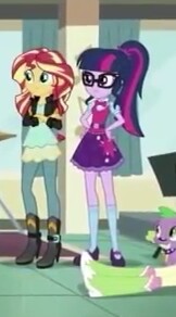 Size: 162x292 | Tagged: safe, derpibooru import, screencap, fluttershy, sci-twi, spike, spike the regular dog, sunset shimmer, twilight sparkle, dog, dance magic, equestria girls, spoiler:eqg specials, boots, bowtie, clothes, cropped, crossed arms, female, glasses, hand on hip, high heel boots, jacket, leather jacket, leg, mary janes, pants, ponytail, shoes, skirt, socks