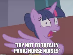 Size: 666x500 | Tagged: safe, derpibooru import, edit, edited screencap, screencap, twilight sparkle, twilight sparkle (alicorn), alicorn, pony, a royal problem, ballerina, clothes, cropped, descriptive noise, horse noises, hyperventilating, image macro, meme, solo, tutu, twilarina, twilight stalker, twilighting