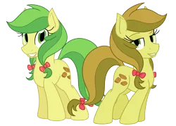 Size: 1400x1000 | Tagged: safe, artist:tertonda, deleted from derpibooru, derpibooru import, apple fritter, apple strudely, earth pony, pony, apple family member, duo, female, grin, looking at you, mare, pigtails, simple background, smiling, transparent background