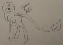 Size: 1024x733 | Tagged: safe, artist:anxiouslilnerd, derpibooru import, oc, oc:chanson de nature, unofficial characters only, pony, closed species, leonine tail, rosey ponies, solo, traditional art