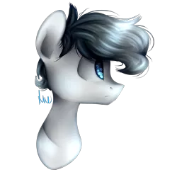 Size: 2000x2000 | Tagged: safe, artist:vanillashineart, derpibooru import, oc, unofficial characters only, pony, bust, high res, male, portrait, simple background, solo, stallion, transparent background