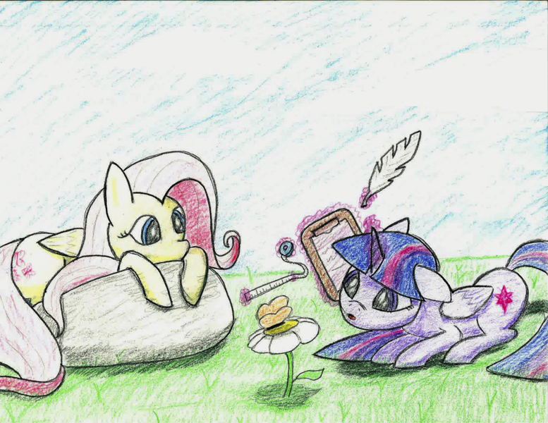 Size: 1024x791 | Tagged: safe, artist:coloringrainclouds, derpibooru import, fluttershy, twilight sparkle, twilight sparkle (alicorn), alicorn, butterfly, pony, clipboard, duo, flower, magic, measuring, measuring tape, prone, quill, rock, ruler, science, traditional art