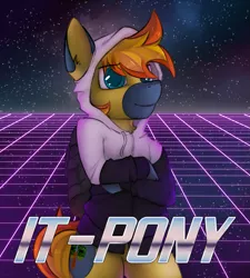 Size: 1613x1791 | Tagged: safe, artist:marsminer, derpibooru import, oc, oc:yaktan, unofficial characters only, pony, abstract background, clothes, hackerman, hoodie, kung fury, meme, nerd, solo, standing