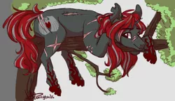 Size: 1864x1080 | Tagged: semi-grimdark, artist:ebonytails, derpibooru import, oc, oc:crimson fist, unofficial characters only, pony, scar, solo, tree, tree branch