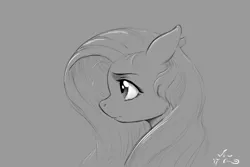 Size: 1200x800 | Tagged: safe, artist:amarynceus, deleted from derpibooru, derpibooru import, fluttershy, pegasus, pony, bust, female, gray background, grayscale, mare, monochrome, portrait, profile, simple background, sketch, solo