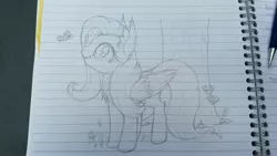 Size: 2560x1440 | Tagged: safe, artist:bigshot232, derpibooru import, fluttershy, butterfly, pony, cheek fluff, chest fluff, ear fluff, folded wings, lined paper, looking at something, looking up, pencil drawing, smiling, solo, traditional art