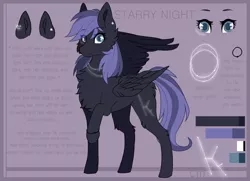 Size: 2900x2100 | Tagged: safe, artist:dusty-onyx, derpibooru import, oc, oc:starry night, unofficial characters only, pegasus, pony, female, mare, reference sheet, solo, text