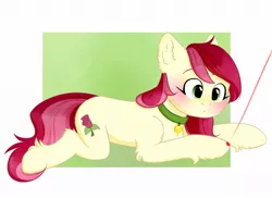 Size: 1100x800 | Tagged: safe, artist:haru_s, derpibooru import, roseluck, earth pony, pony, anatomically incorrect, behaving like a cat, collar, cute, ear fluff, female, fluffy, incorrect leg anatomy, laser pointer, lying, mare, offscreen character, pony pet, rosepet, russian, solo