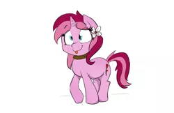 Size: 904x587 | Tagged: safe, artist:shoutingisfun, derpibooru import, oc, oc:rosebud, unofficial characters only, pony, choker, flower, flower in hair, mlem, simple background, solo, tongue out, white background
