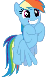 Size: 6000x9854 | Tagged: source needed, safe, artist:10 minute, derpibooru import, rainbow dash, pony, stranger than fan fiction, absurd resolution, cute, dashabetes, simple background, smiling, solo, transparent background, vector