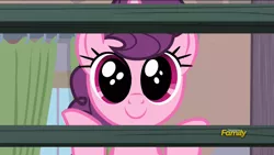 Size: 1920x1080 | Tagged: safe, derpibooru import, screencap, sugar belle, pony, hard to say anything, big eyes, cute, discovery family logo, faic, smiling, solo, staring into your soul, sugarbetes