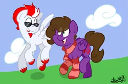 Size: 2605x1711 | Tagged: safe, artist:befishproductions, derpibooru import, oc, oc:befish, oc:lucky knight, unofficial characters only, pegasus, pony, clothes, female, male, mare, signature, socks, stallion, striped socks, sunglasses