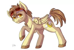 Size: 1018x690 | Tagged: safe, derpibooru import, oc, oc:bananaphone, unofficial characters only, pegasus, pony, freckles, goggles, simple background, solo, unshorn fetlocks, white background