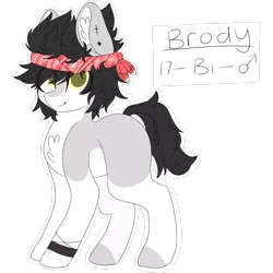 Size: 2048x2048 | Tagged: safe, artist:cinnamontee, derpibooru import, oc, oc:brody, unofficial characters only, earth pony, pony, bandana, bisexuality, high res, male, simple background, solo, stallion, transparent background