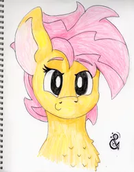 Size: 3317x4252 | Tagged: safe, artist:andandampersand, derpibooru import, oc, oc:beauty cheat, unofficial characters only, pegasus, pony, absurd resolution, big ears, bust, c:, chest fluff, female, looking at you, mare, portrait, smiling, solo, traditional art