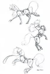 Size: 1100x1623 | Tagged: suggestive, artist:baron engel, derpibooru import, oc, oc:carousel, unofficial characters only, earth pony, pony, bridle, female, mare, monochrome, pencil drawing, saddle, simple background, smiling, solo, tack, traditional art, white background